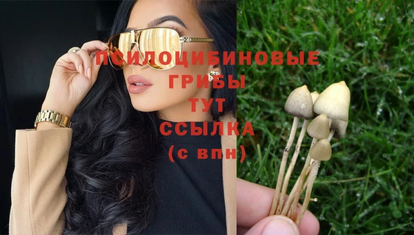 таблы Алзамай