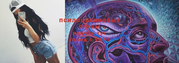 таблы Алзамай